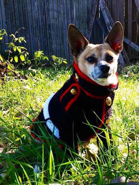pw event dog days.jpg